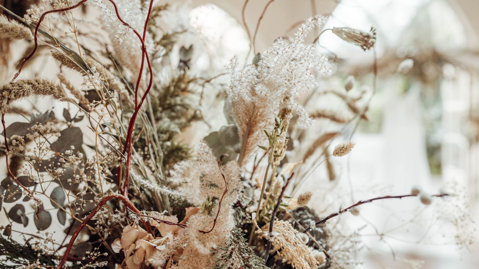 Special Occasions Main Banner