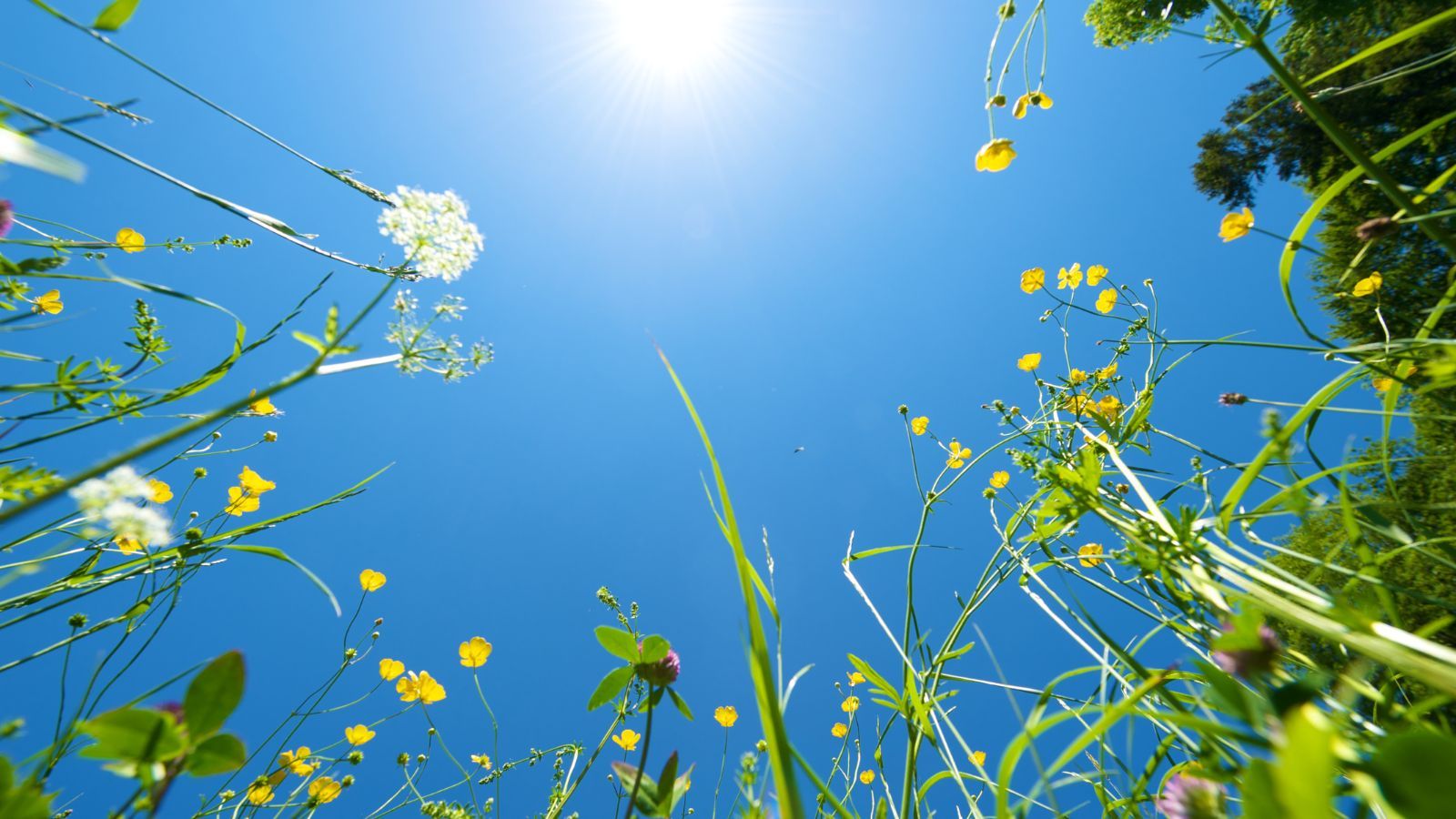 1600 x 900 px (1)