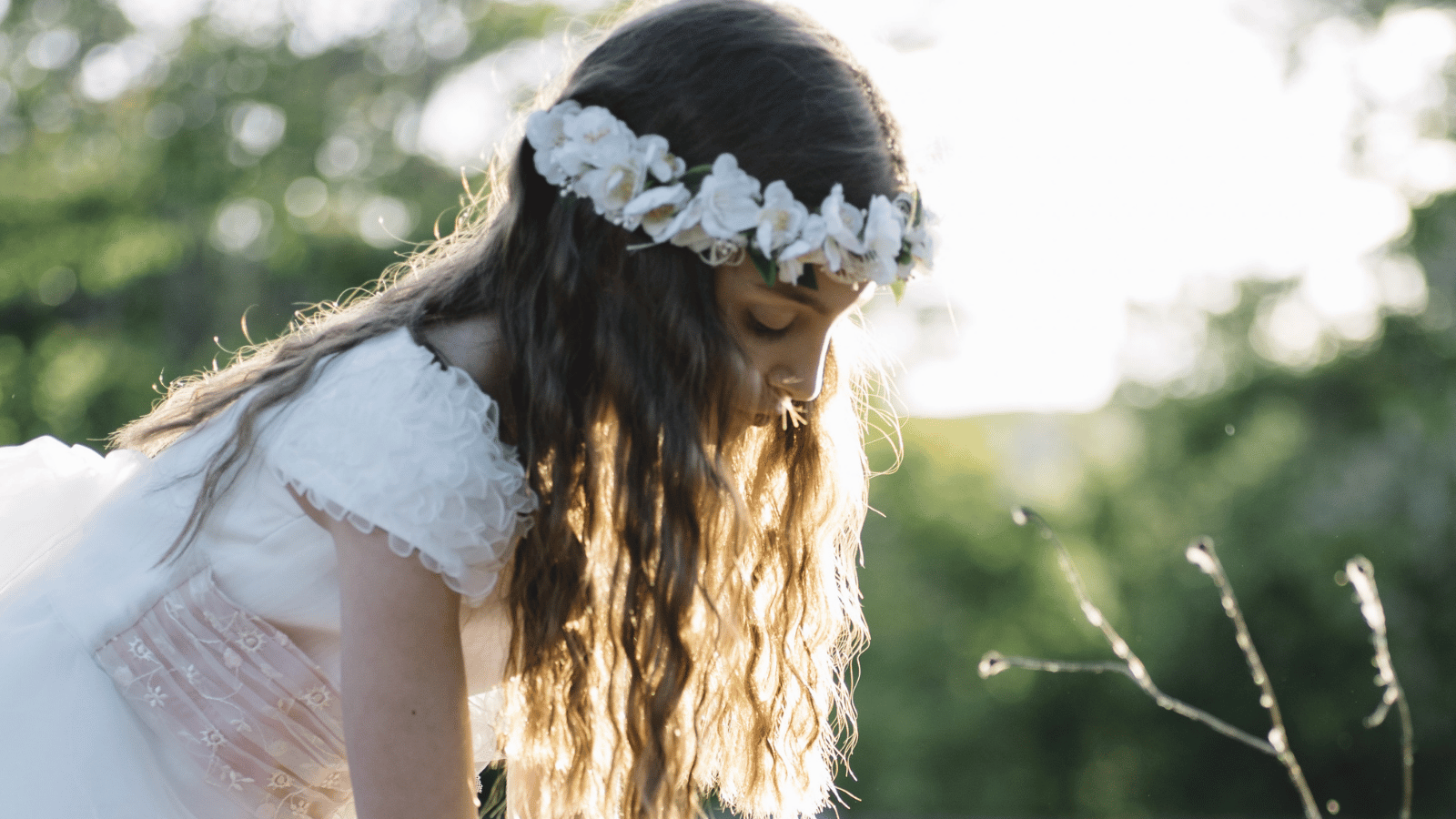 Abbey Court - website banner (12)