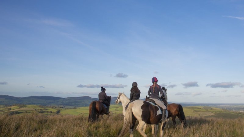 Images for packages website Abbey Court Hotel